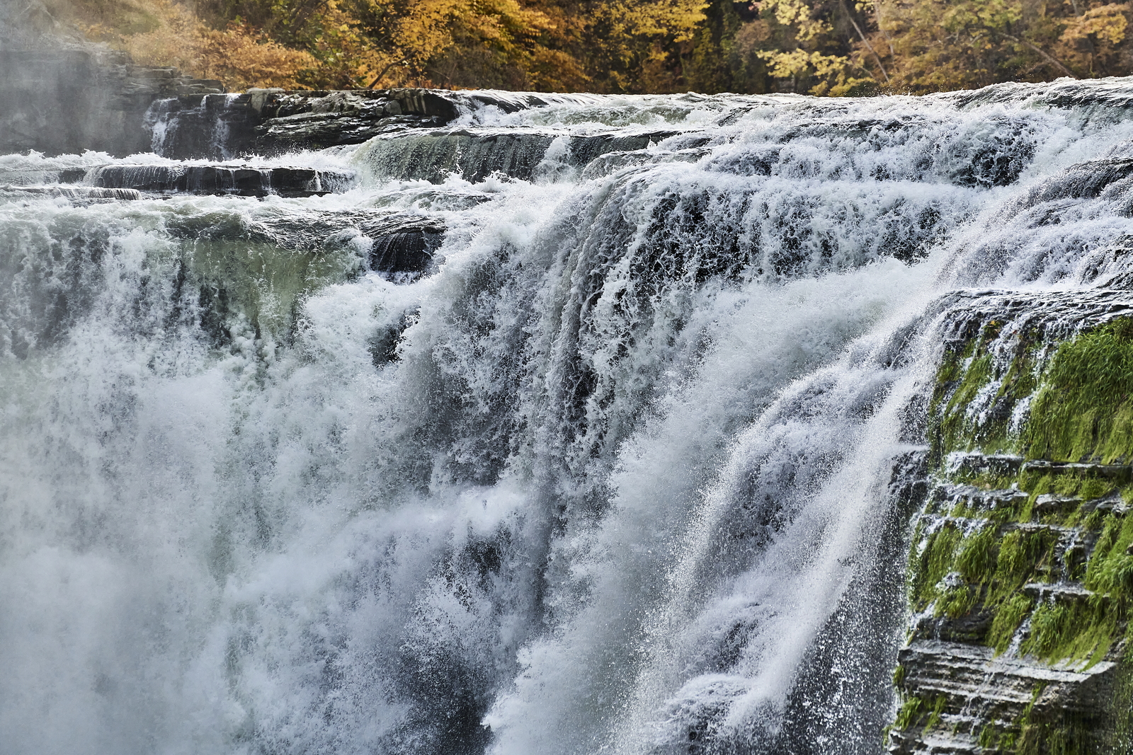 Indian Summer, Letchworth State Park, NY, USA